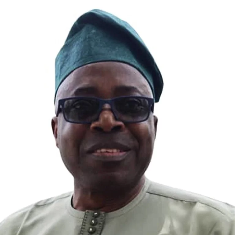 Prof Sola Akirinade