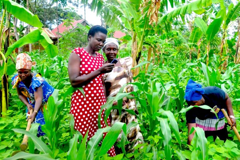 Digital Literacy: Bridging the Gap in African Farming and Trading