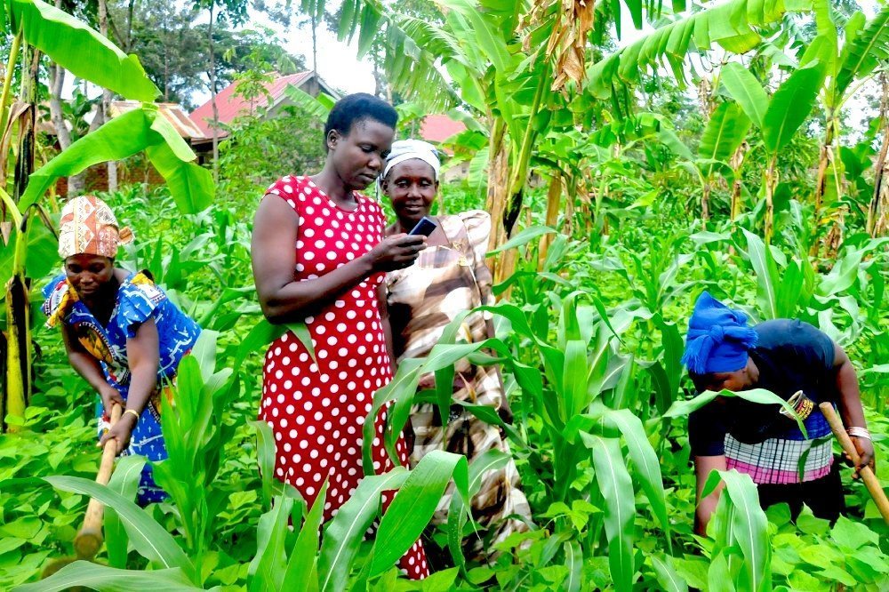Digital Literacy: Bridging the Gap in African Farming and Trading